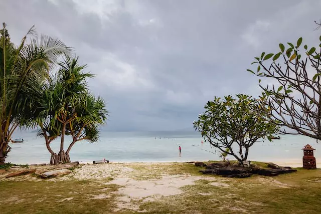 Phi Phi Tour: Explore Monkey Beach, Tonsai Bay, and Viking Cave FROM KRABI.